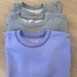 Hanes Gray and Purple Long Sleeve Sweatshirts- Lot of 3- unisex